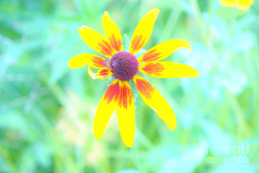 Your Beauty is Showing by Merle Grenz Your Beauty is Showing by Merle Grenz