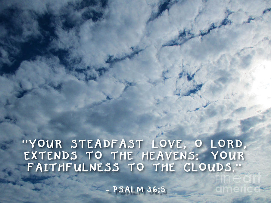 Your Steadfast Love Photograph by A Hillman - Pixels