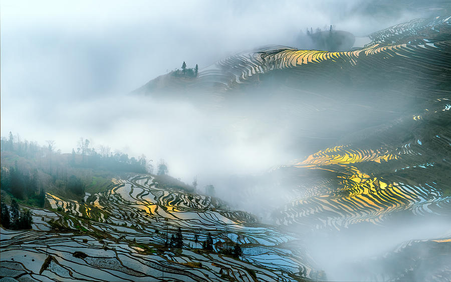 Sunset Photograph - Yuan Yang Rice Terraces by Hua Zhu