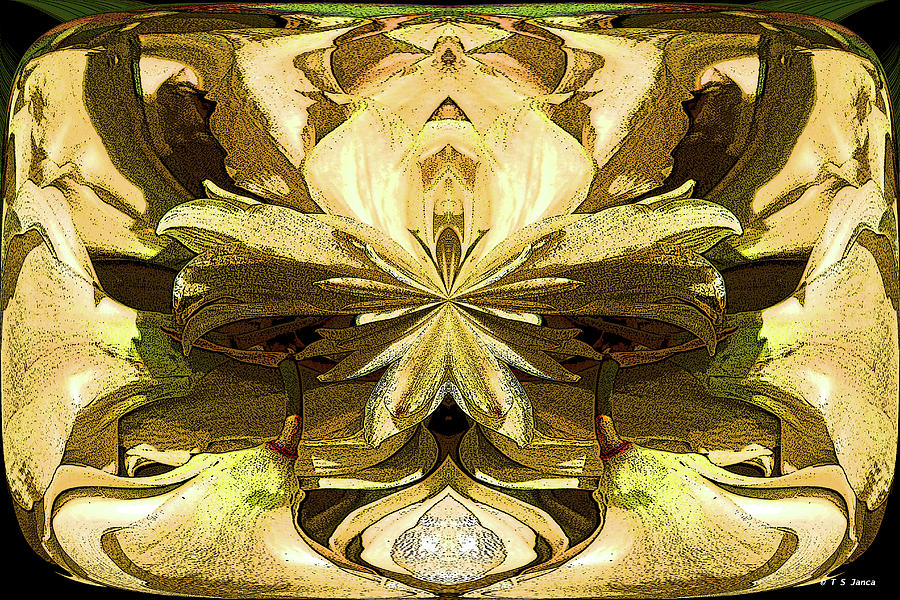 Yucca Flowers Abstract Digital Art by Tom Janca
