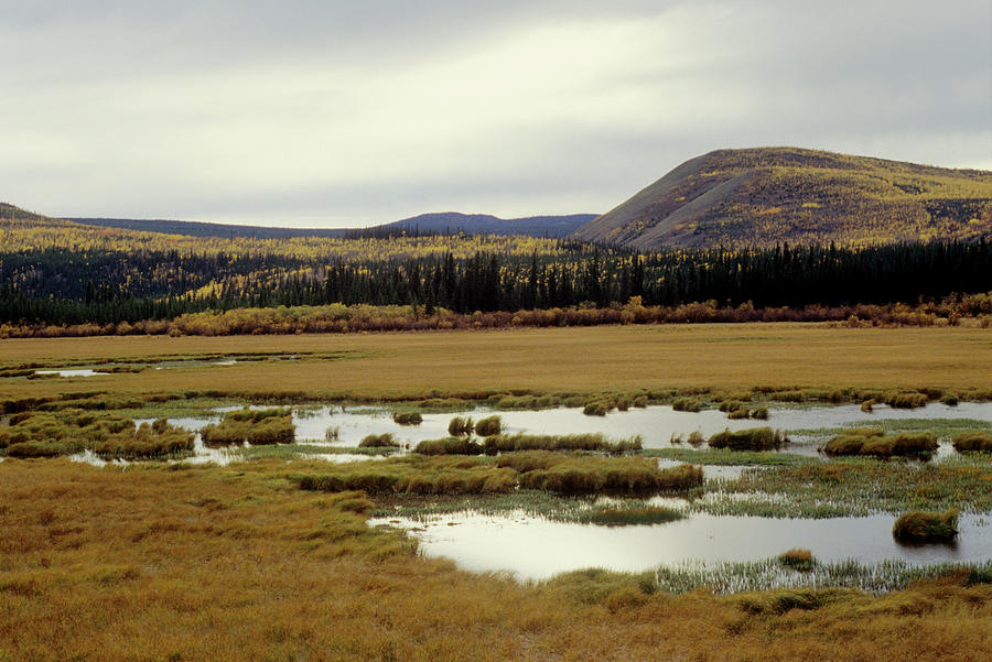 Yukon, Canada, Paesaggio Photograph by Stefano Salvetti