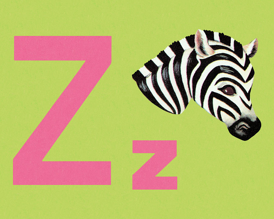 Vintage Drawing - Z as in Zebra by CSA Images