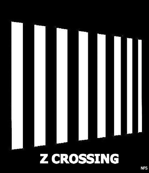 Z  CROSSING   nfs Photograph by VIVA Anderson