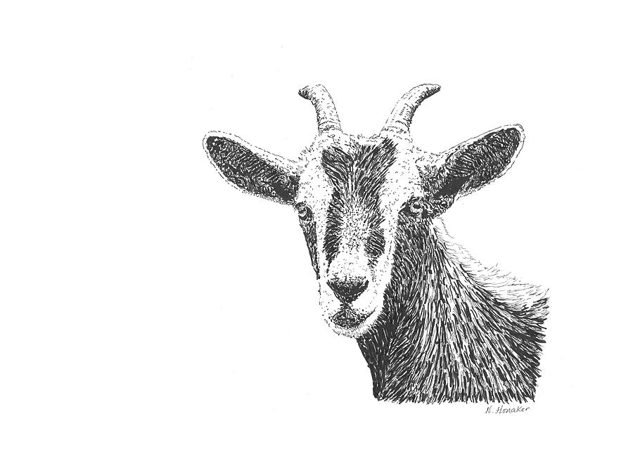 Black And White Mixed Media - Z10 Goat by Let Your Art Soar