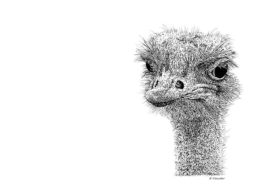 Black And White Mixed Media - Z14 Ostrich by Let Your Art Soar