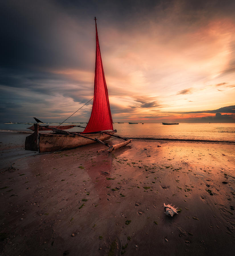 Boat Photograph - Zanzibar Boat by Jeni Madjarova