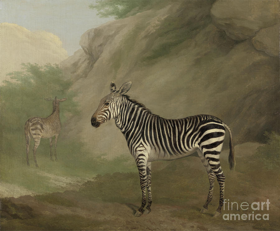 Jacques Laurent Agasse Painting - Zebra, 1803 by Jacques-laurent Agasse