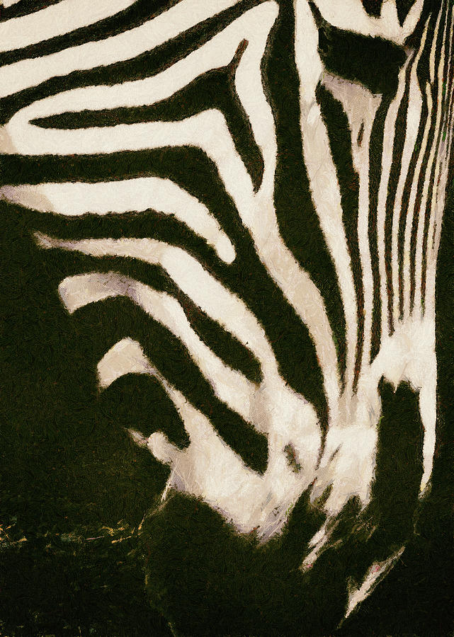 Zebra Abstract Photograph by Joseph Hollingsworth