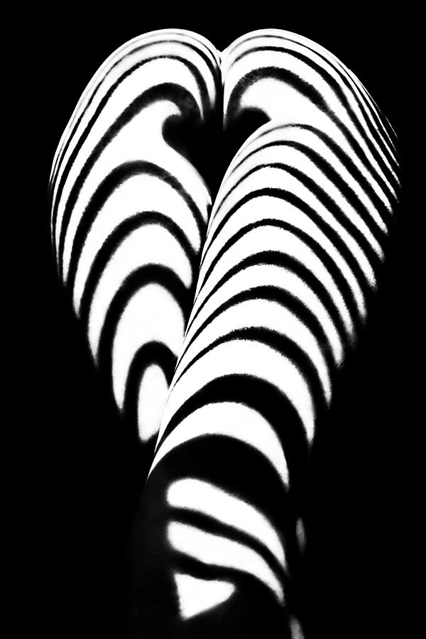 Zebra Ass 2 Photograph by Mikhail Faletkin