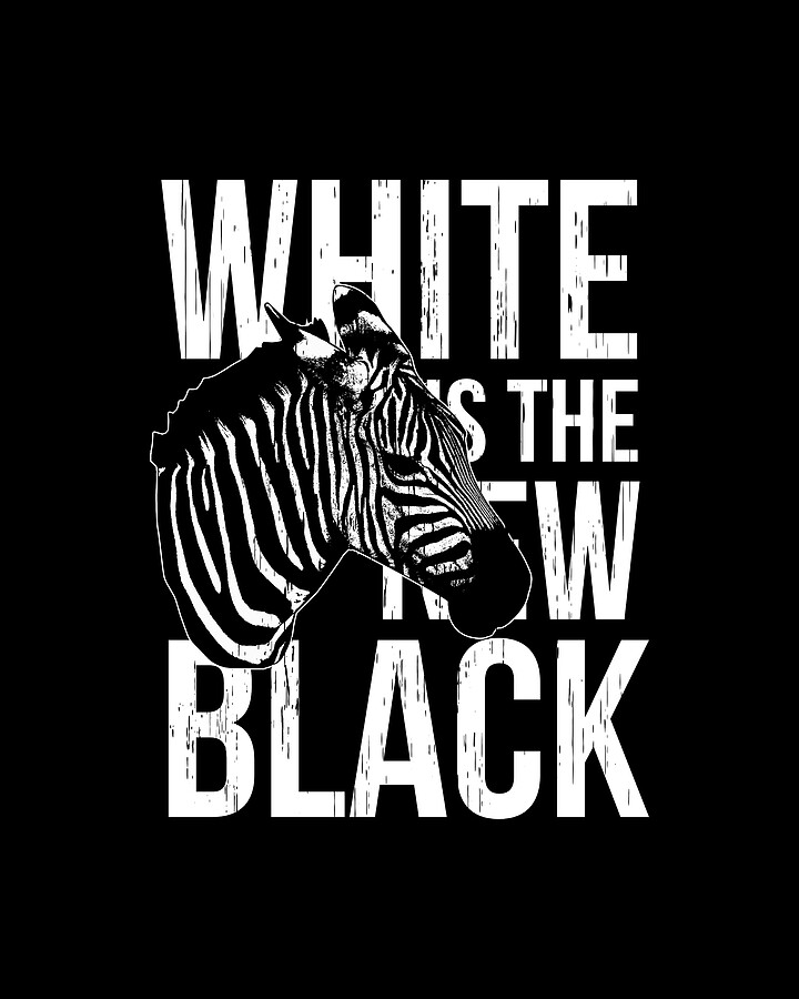 Zebra Black and White Drawing by Jk Fine Art America