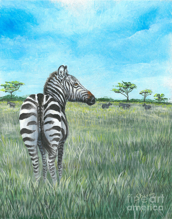 Zebra in serengeti Painting by Sharon Molinaro