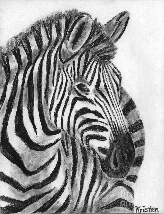 Zebra Pastel by Kristen Bonde - Fine Art America