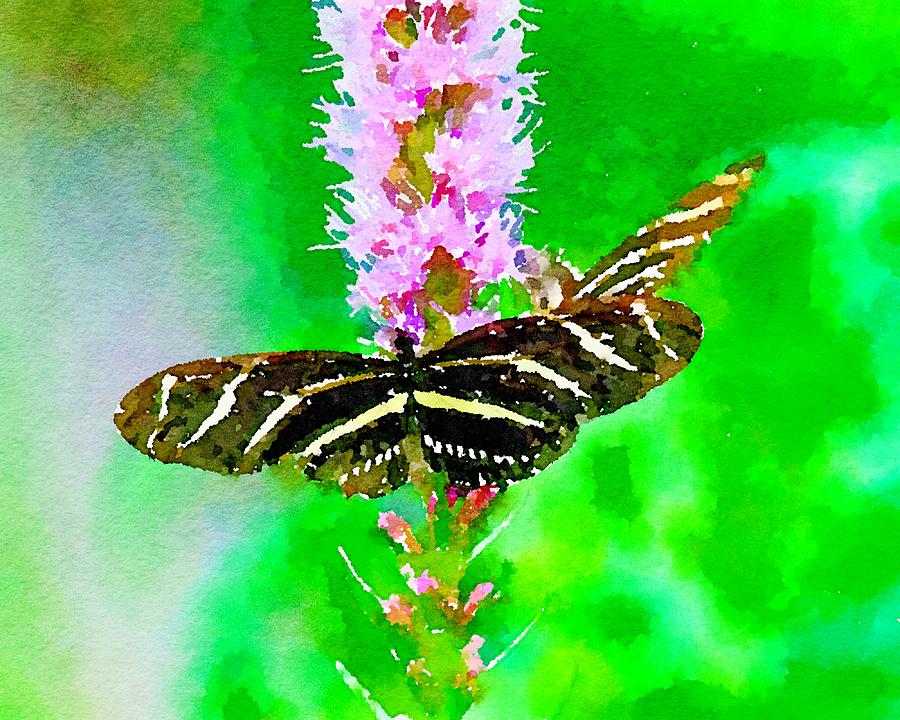 Zebra Longwing Butterfly Mixed Media by Susan Rydberg