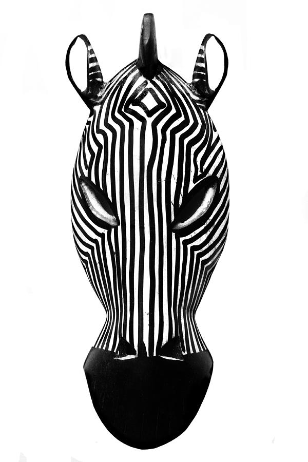 Zebra Photograph by Maravic