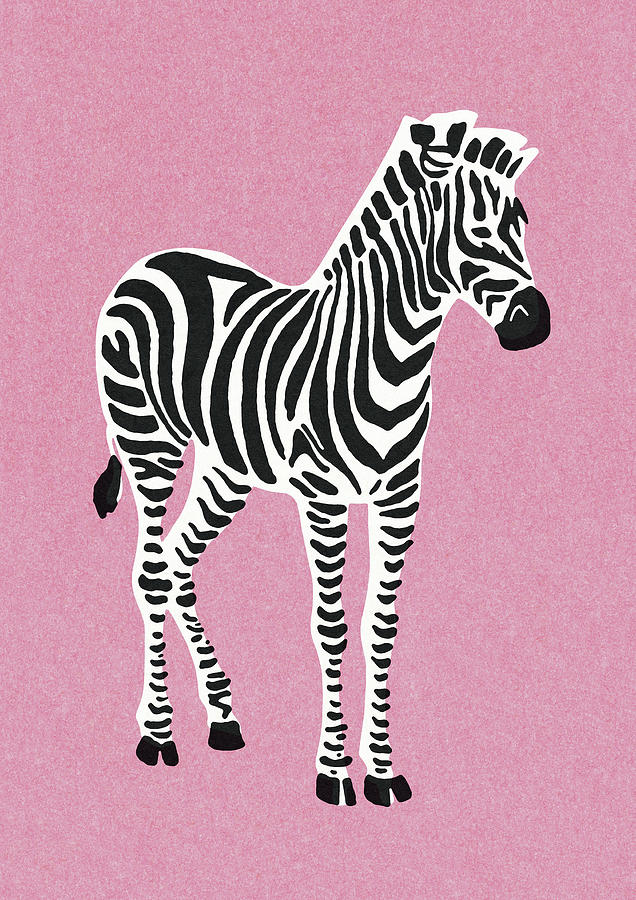 Vintage Drawing - Zebra on Pink Background by CSA Images