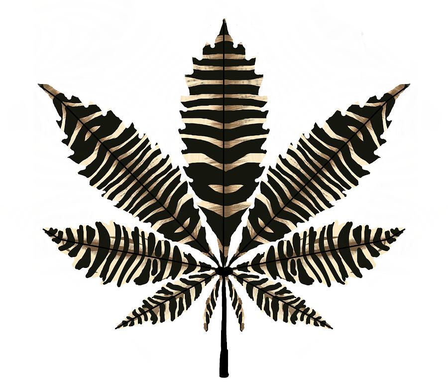 Single Zebra Pattern Marijuana Leaf On White Drawing by Joan Stratton