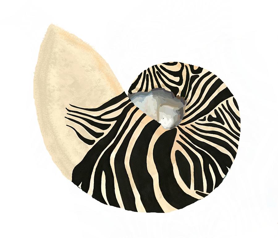 Zebra Pattern Nautilus Shell White Background Drawing by Joan Stratton