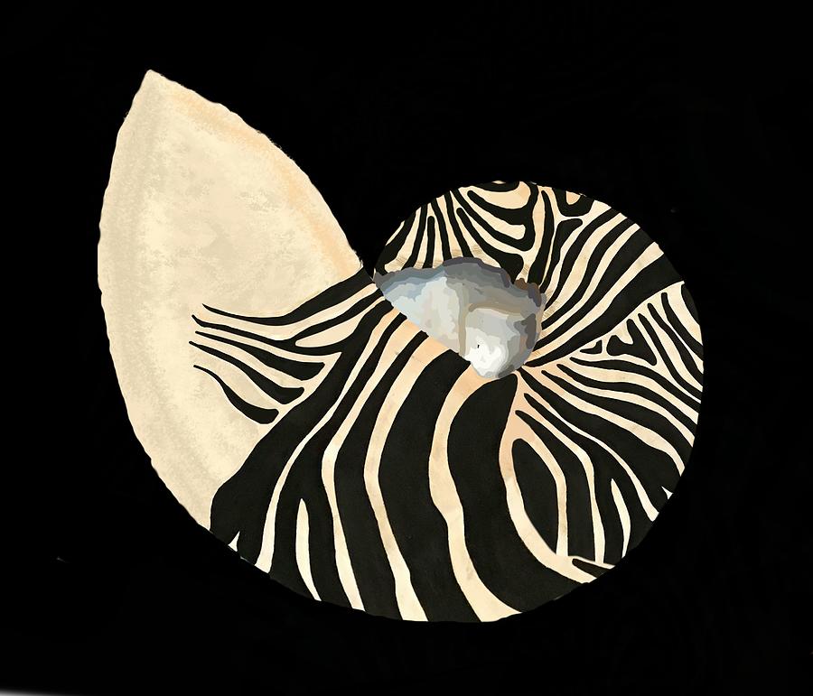 Zebra Pattern Nautilus Seashell Black Background Drawing by Joan Stratton