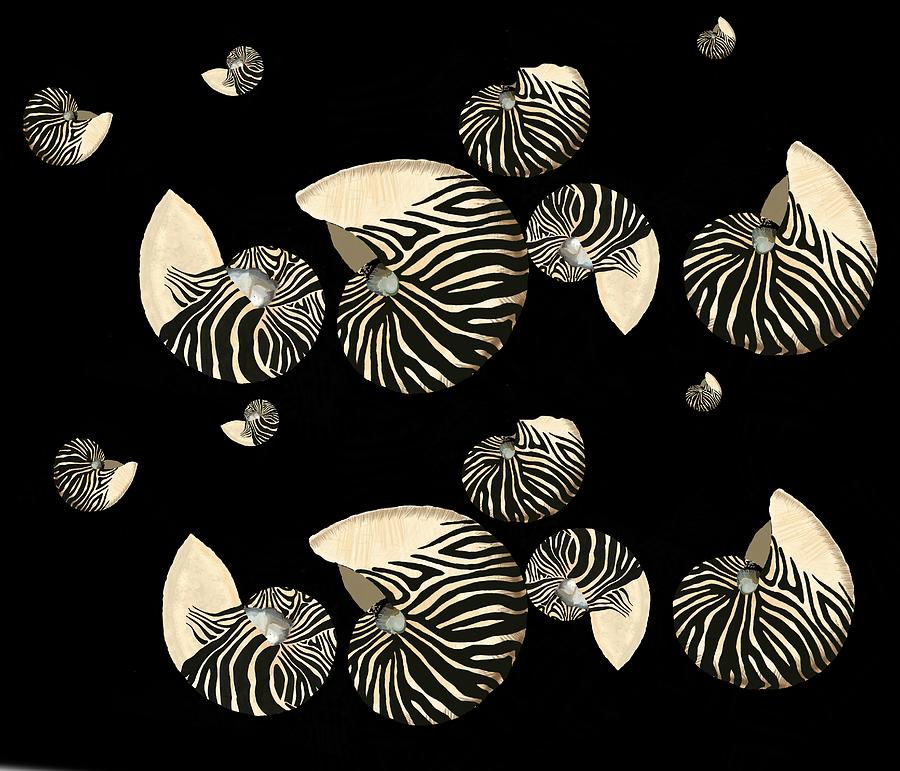 Seashells Zebra Striped Nautilus Shells On Black Digital Art by Joan Stratton
