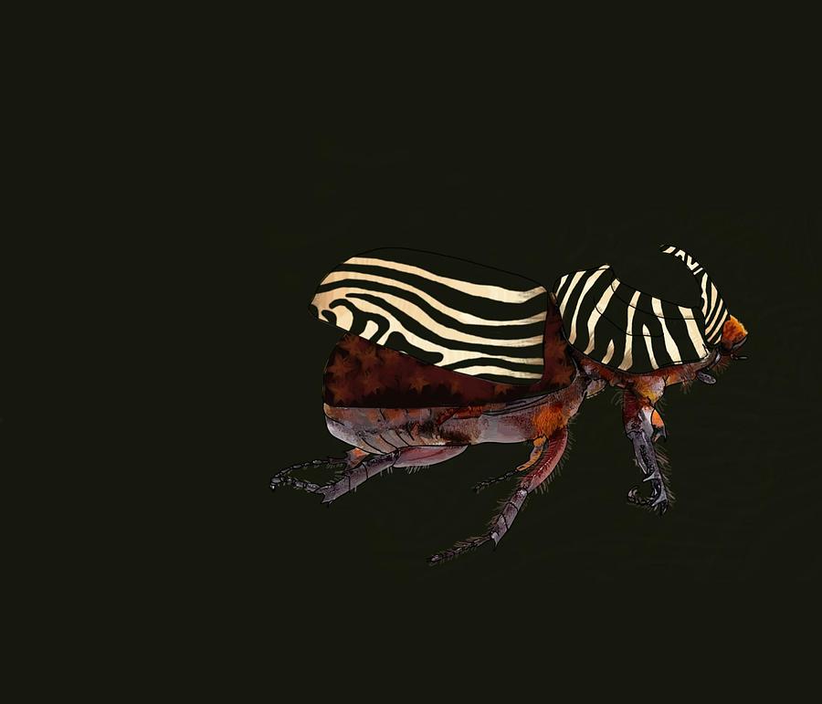 Zebra Pattern Rhinoceros Beetle Black Background Drawing by Joan Stratton
