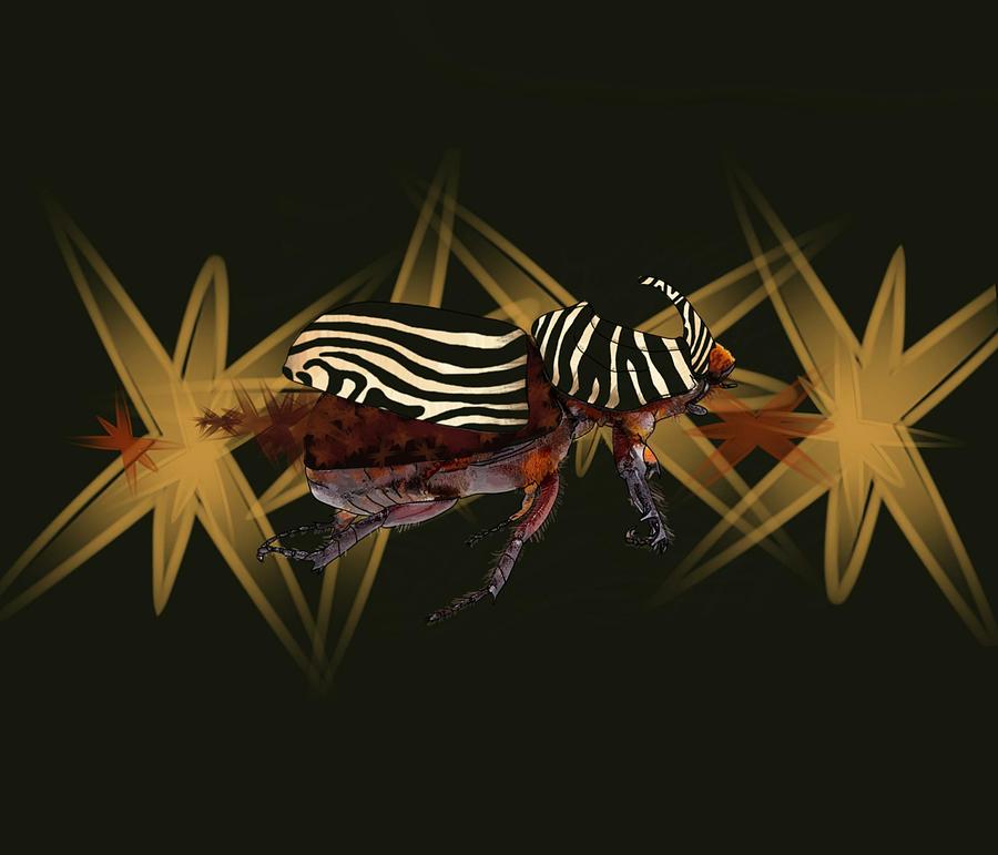 Zebra Pattern Rhinoceros Beetle Open Wing Drawing by Joan Stratton