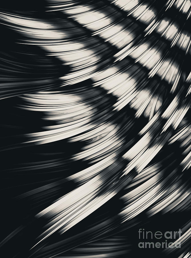 Zebra Strain. Black and White Abstract Digital Art by Stephen Geisel