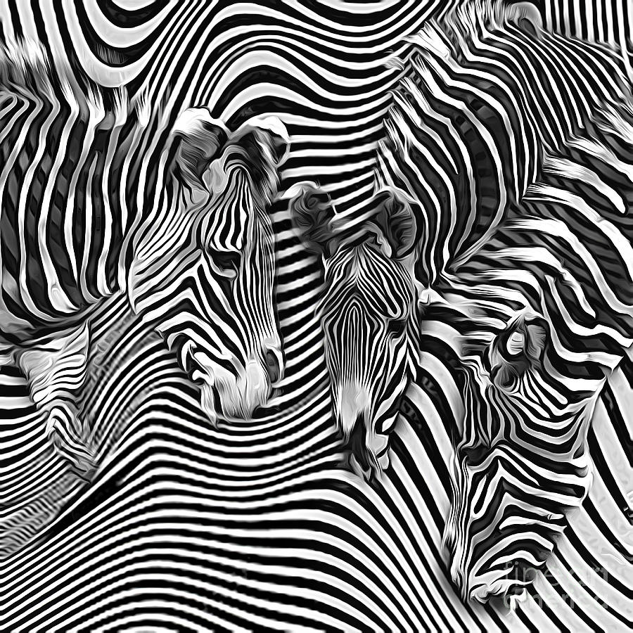 Zebra Digital Art - Zebra Stripes Abstract by Brian Tarr