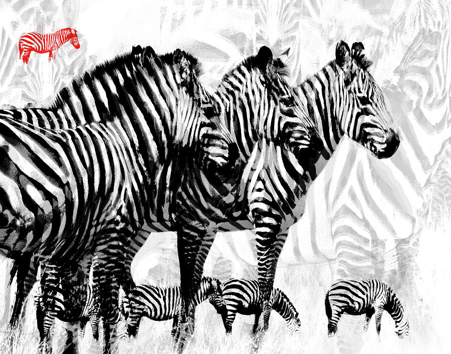 Zebra Stripes Digital Art by Jeanne Gadol - Fine Art America