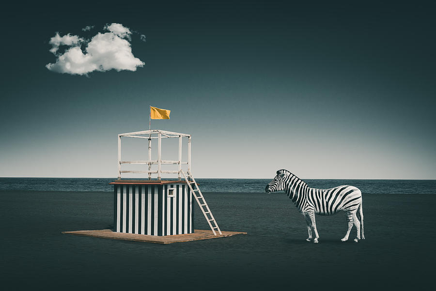 Zebra Style Photograph by Marcus Hennen
