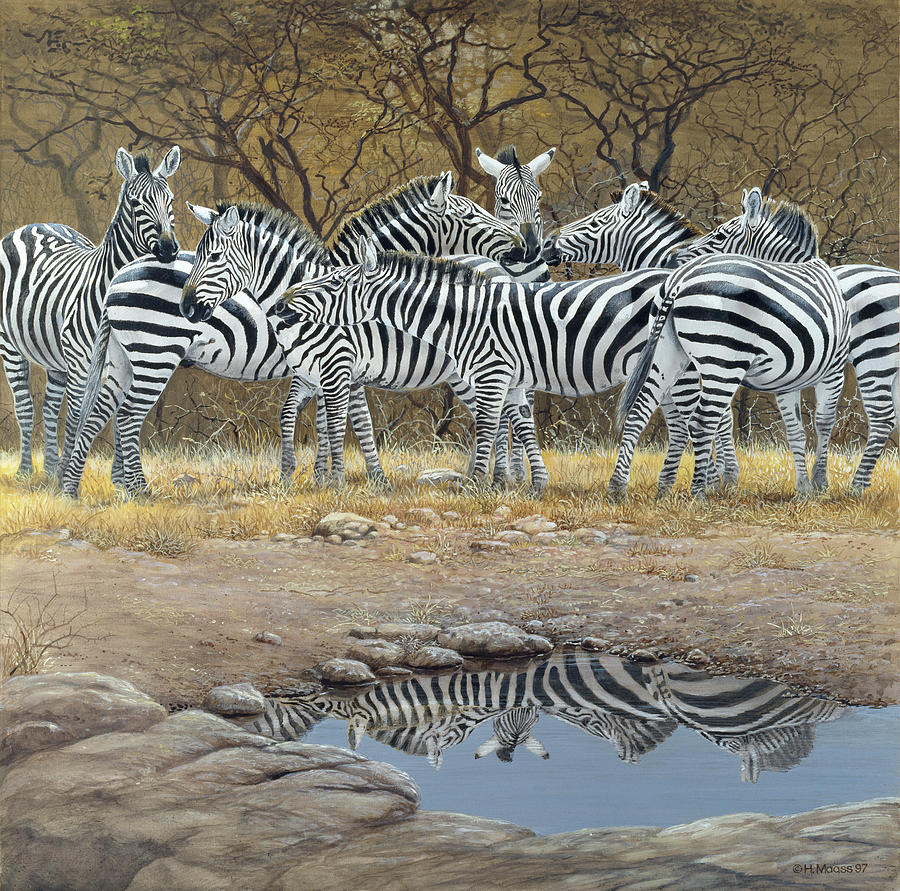 Zebras Painting by Harro Maass