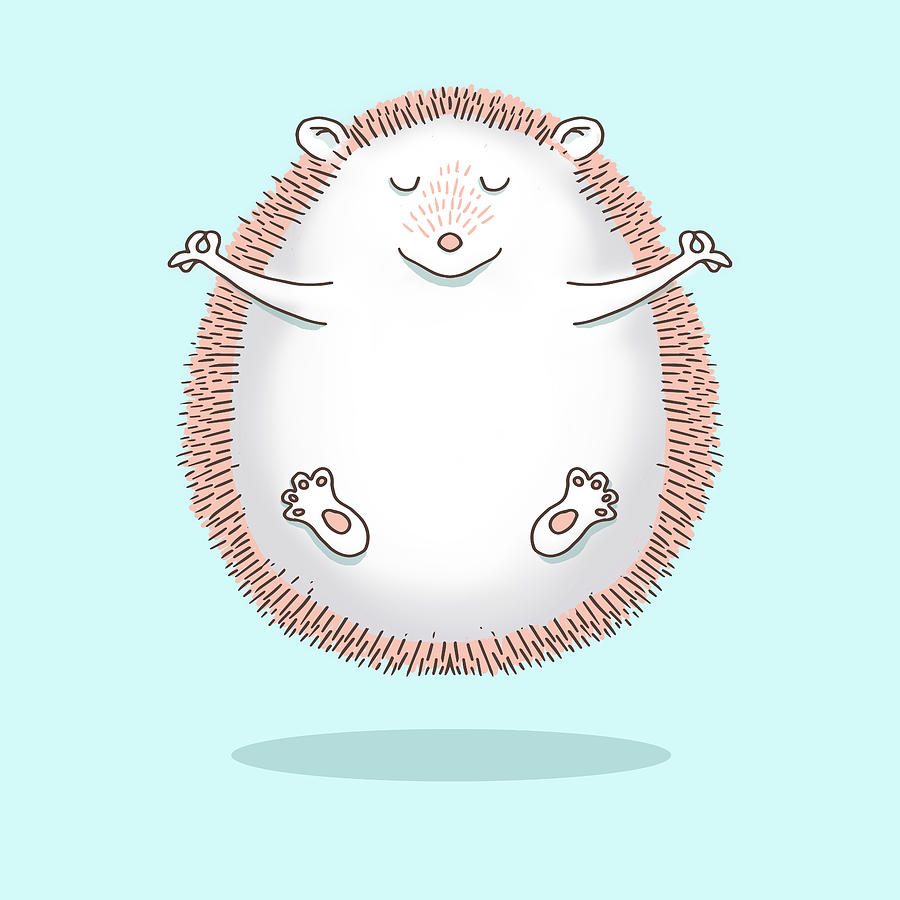 Buddha Digital Art - Zen Hedgehog Meditating by Laura Ostrowski