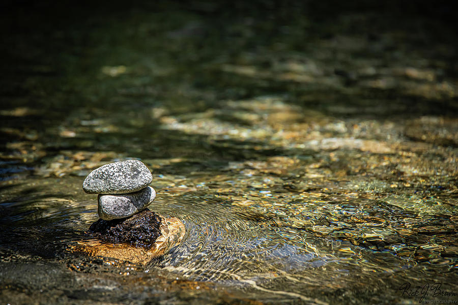 Zen in the Water by Rick J Brown Zen in the Water by Rick J Brown