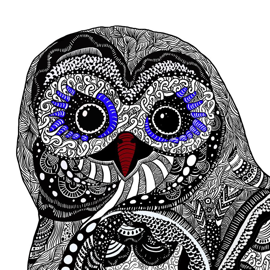 Zen Owl Drawing by Patricia Piotrak