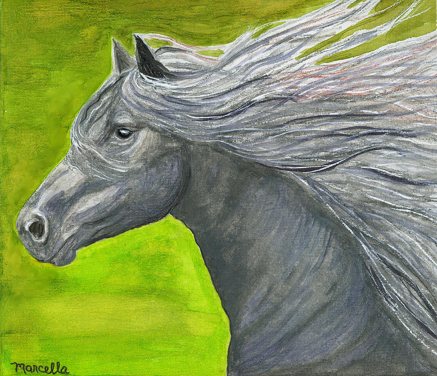 Horse Painting - Zephyr by Marcella Chapman