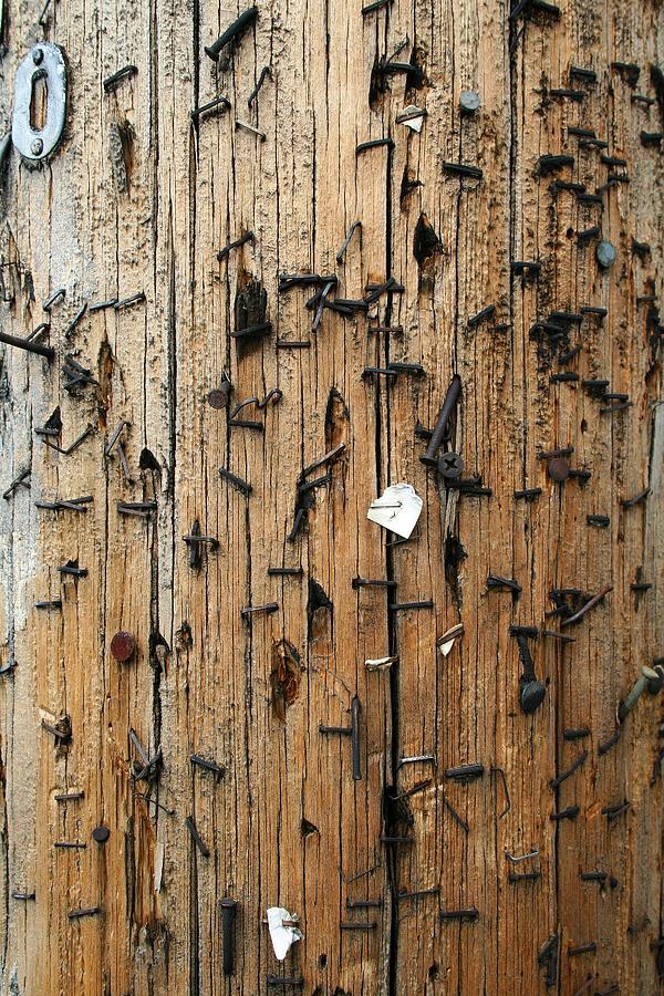 Zero Wood Photograph by By Rupert Ganzer