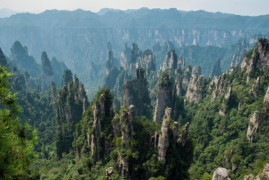 Zhangjiajie Forest National Park Photograph by Yves Andre