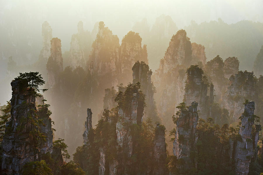 Zhangjiajie National Forest Park Digital Art by Bruno Morandi - Fine ...