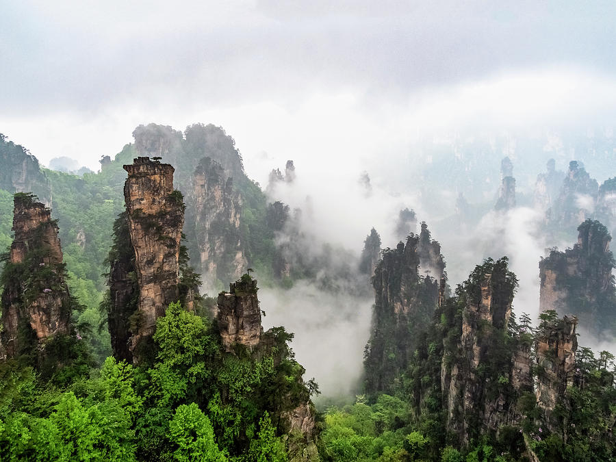 Zhangjiajie National Forest Park  Photograph by Usha Peddamatham