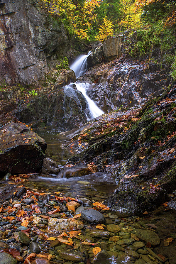 Zig Zag Autumn Photograph by Chris Whiton | Fine Art America