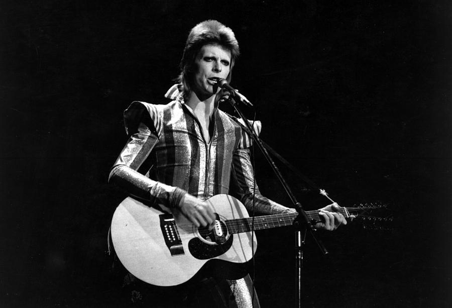 Ziggy Plays Guitar Photograph by Express