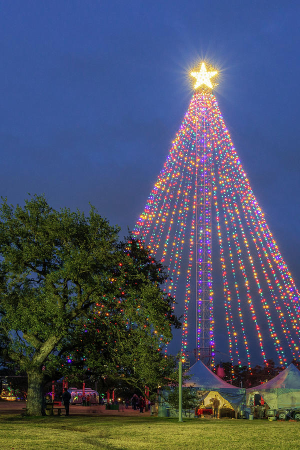 Zilker Holiday Tree Photograph by Slow Fuse Photography
