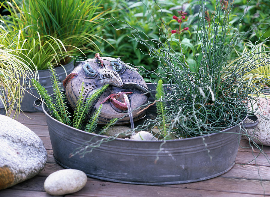 Zinc Bowl With Hand-made Water Feature Photograph by Friedrich Strauss
