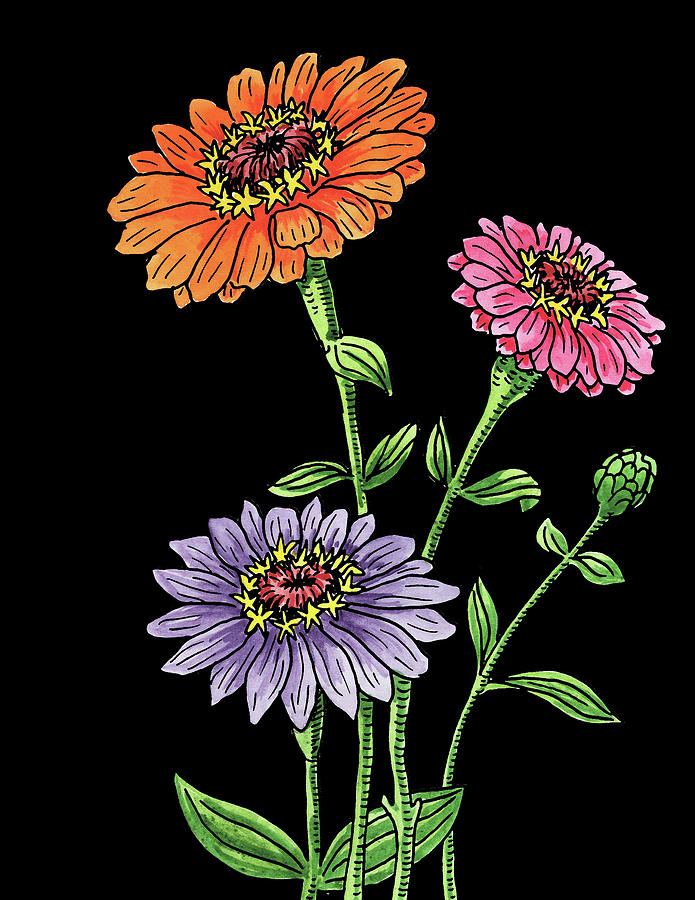 Zinnia Flowers Botanical Watercolour Painting