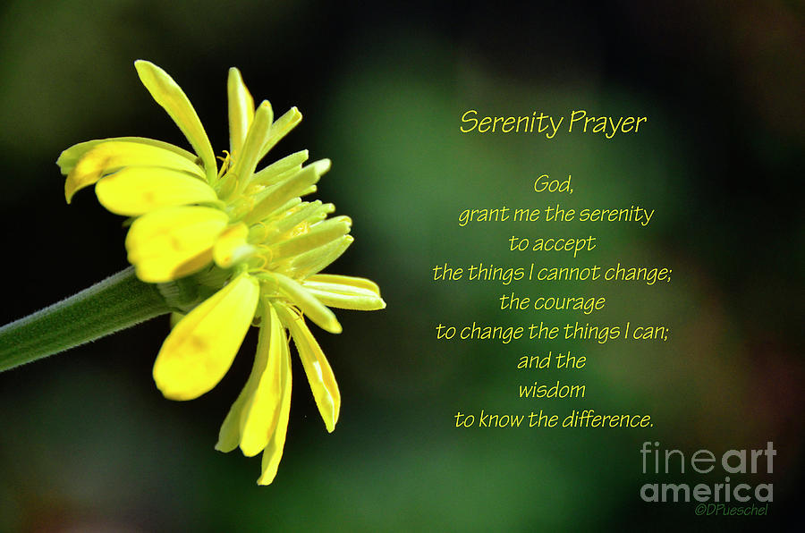 Zinnia Serenity Prayer Photograph
