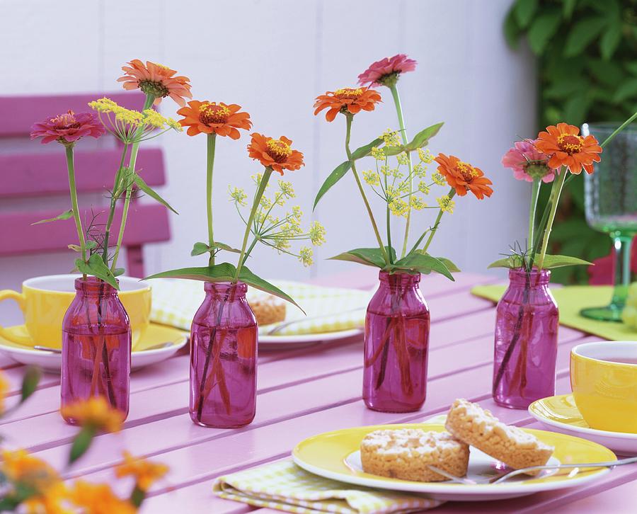 Zinnias And Fennel In Purple Bottles On Tea Table Photograph by Friedrich Strauss