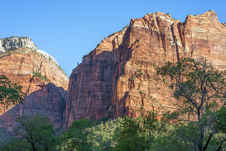 Zion Beauty by Joseph S Giacalone Zion Beauty by Joseph S Giacalone