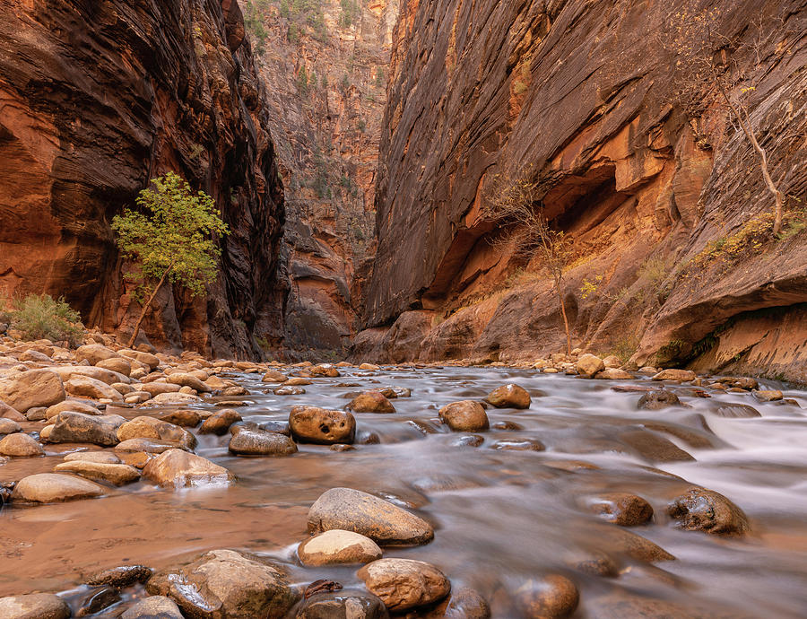 Zion Canyon Photograph by Arthur Oleary