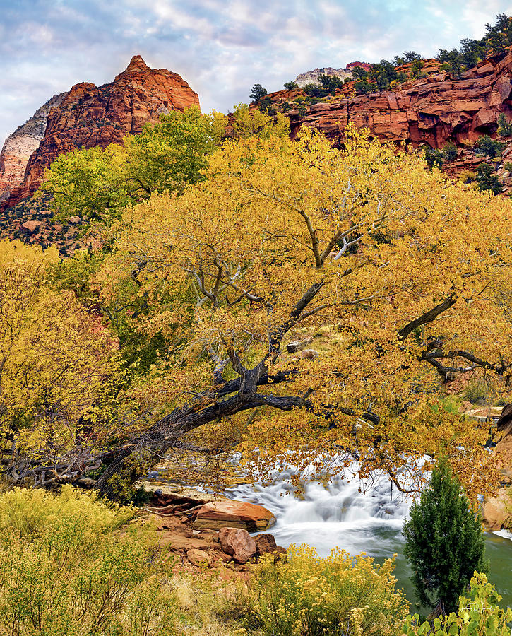 Zion Canyon autumn Photograph by Leland D Howard