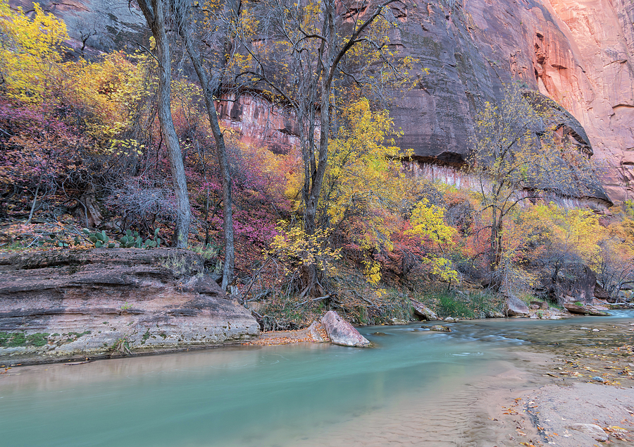 Zion Canyon in Autumn Photograph by Loree Johnson