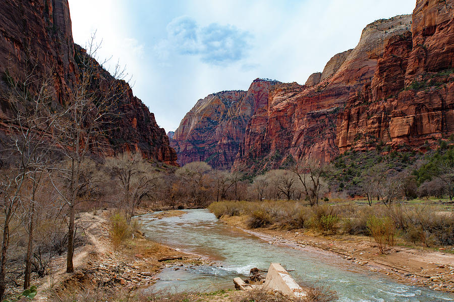 Zion Canyon Photograph by Mark Duehmig